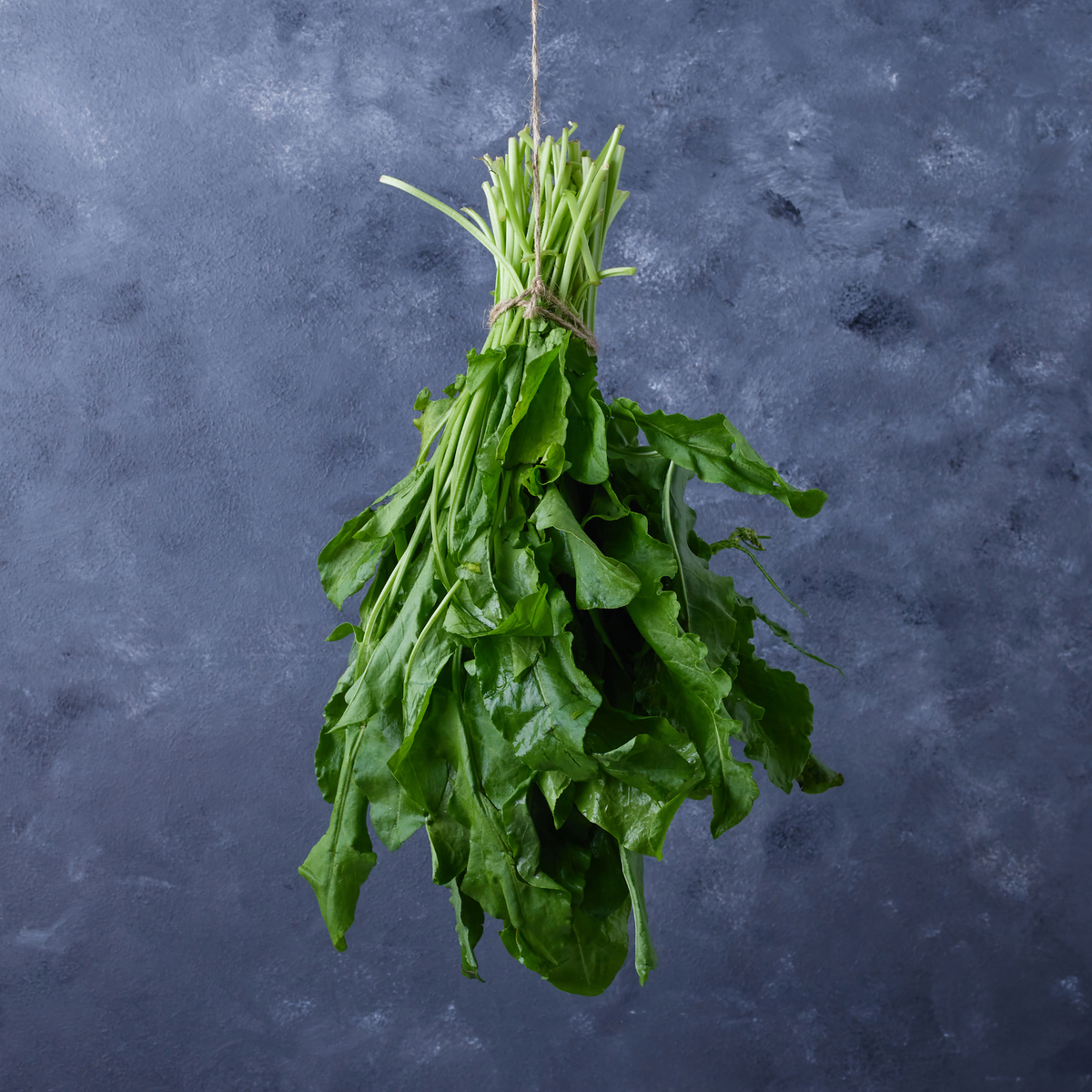 A fresh head of Green Batavia lettuce from Tulima Farms, Egypt, with crisp, frilled green leaves, grown without pesticides.
