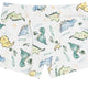 Boys Boxers - Dino Print