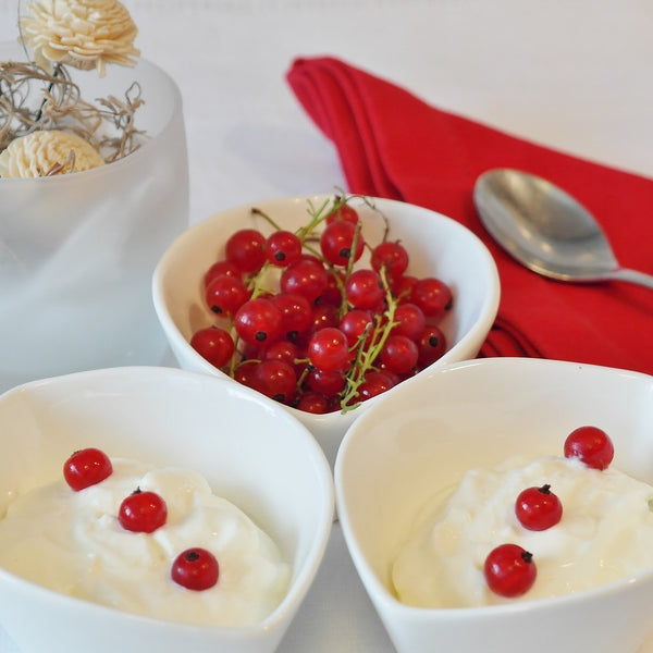 Organic Greek Yoghurt Active Culture plain