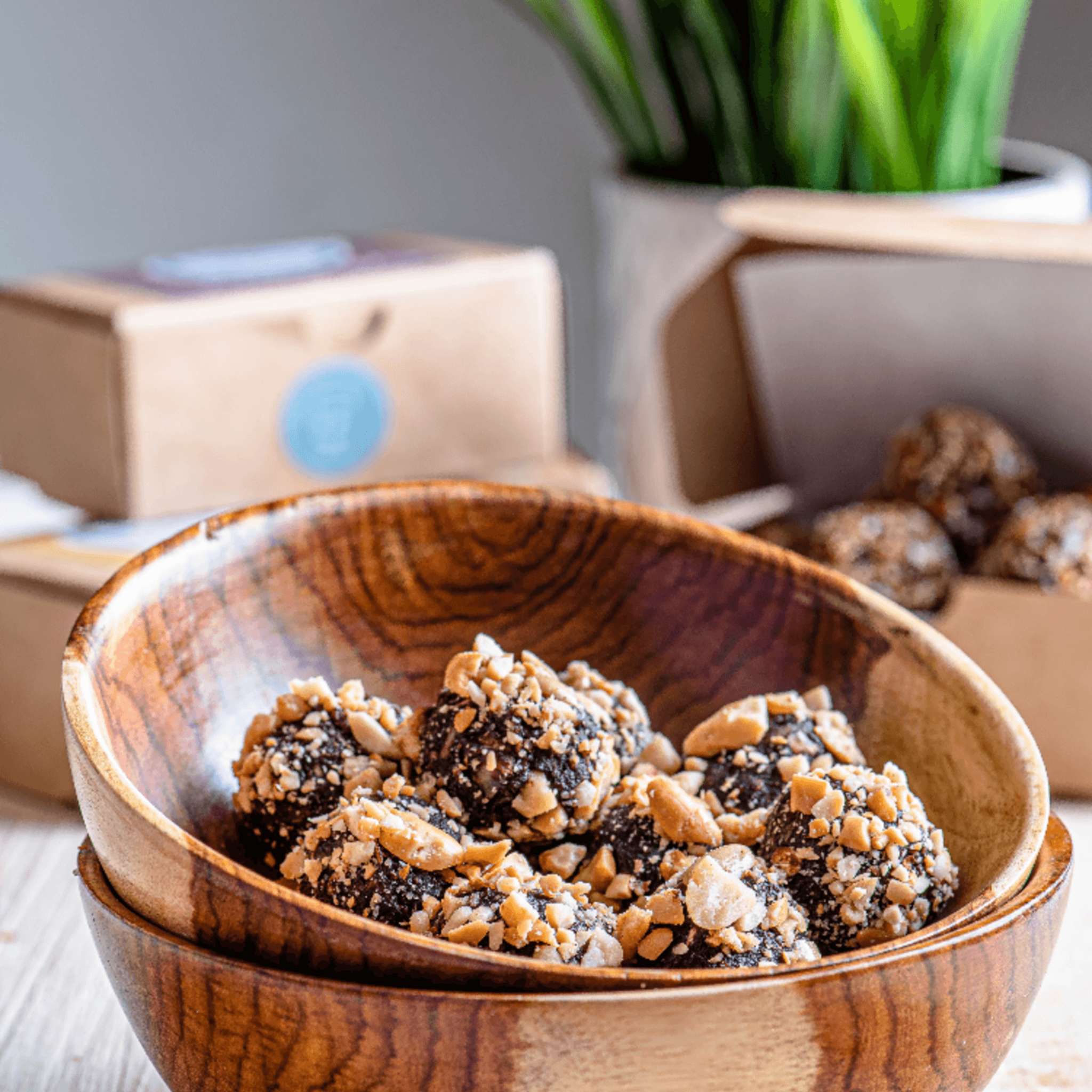 DANSnack Energy Bites – Assorted flavors (OJ, date, peanut, almond chia) made with natural ingredients in Egypt, 90g pack